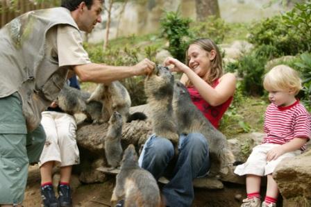 Colline aux marmottes